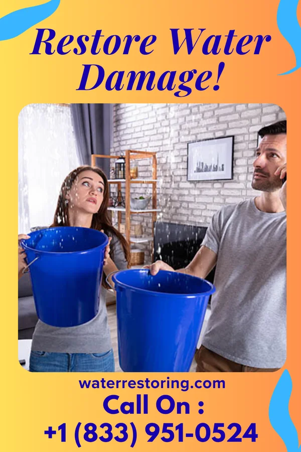 water restoration Atlas Water Removal Professionals Kenosha
