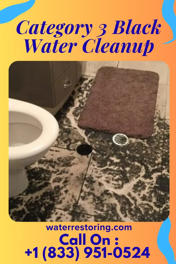 Category 3 Black Water Cleanup in Kenosha, WI
