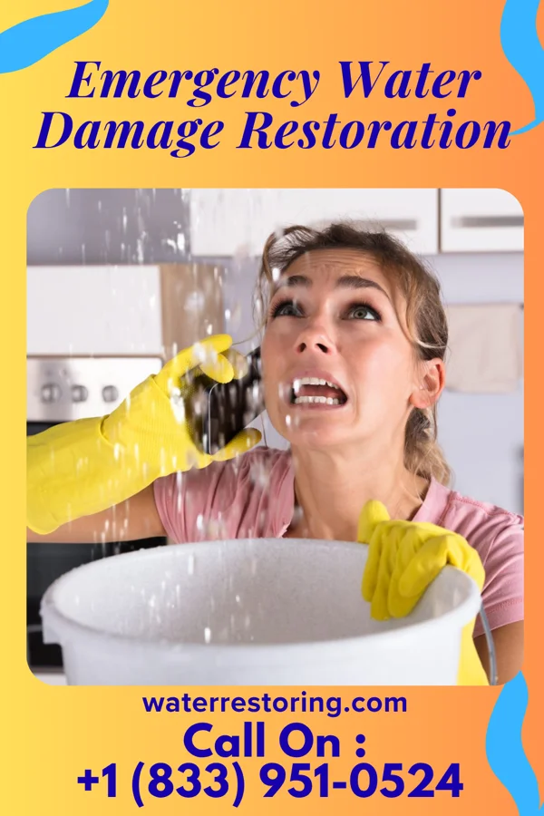 Emergency Water Damage Restoration in Kenosha, WI