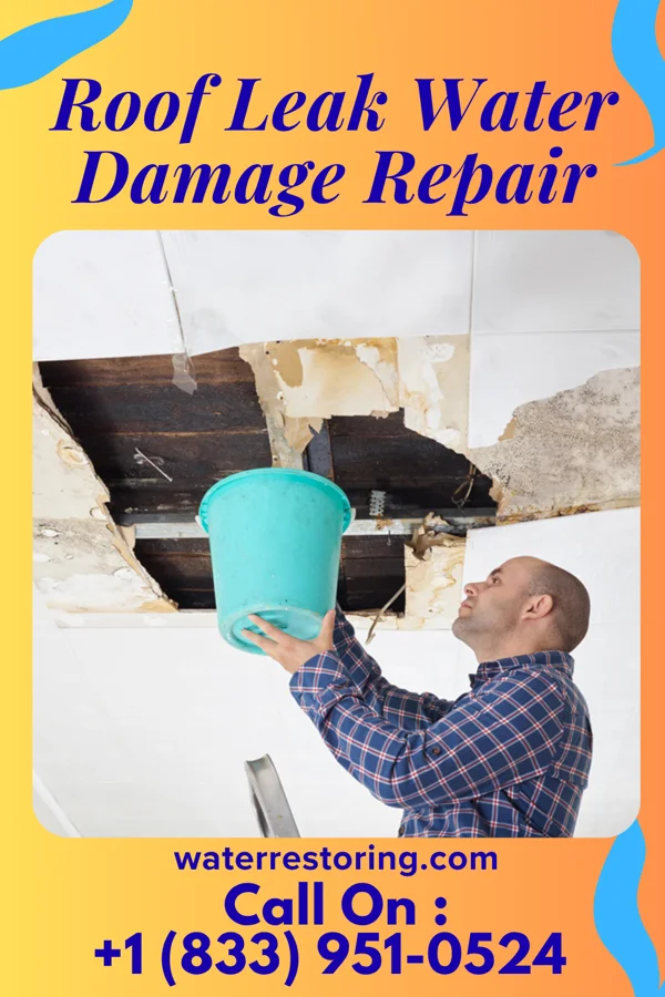 Roof Leak Water Damage Repair in Kenosha, WI